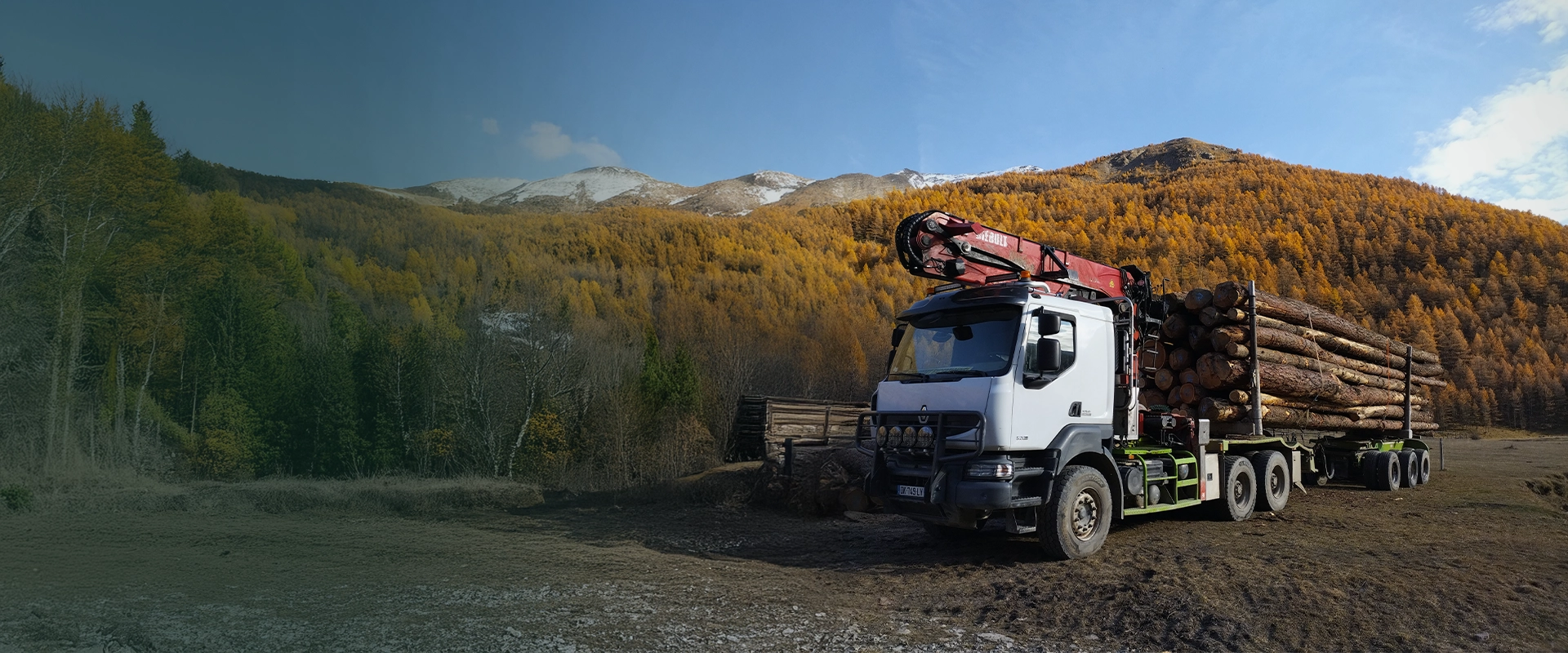 Grume de bois Hautes-Alpes (05)