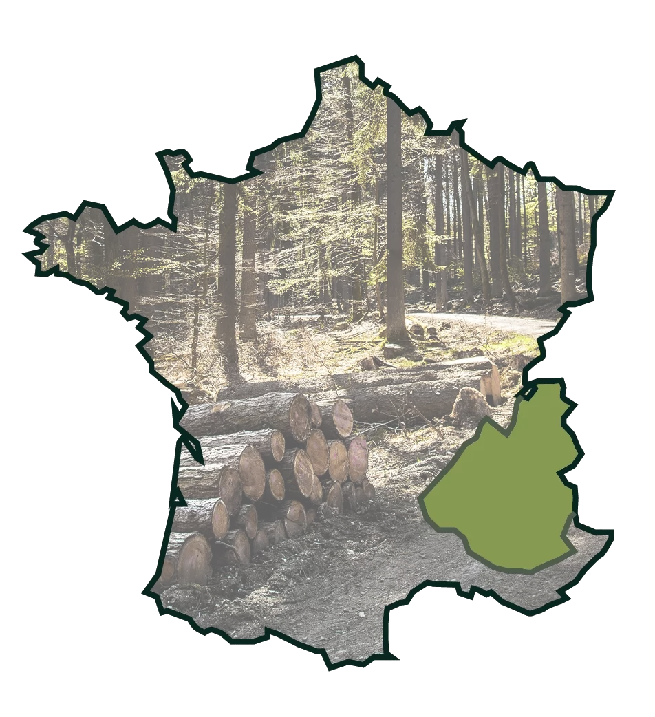 Transport de grumes champsaur